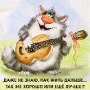 Аватара пользователя